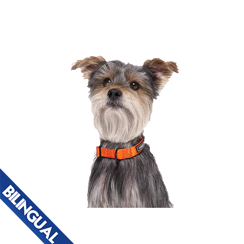 CANADA POOCH UTILITY COLLAR ORANGE