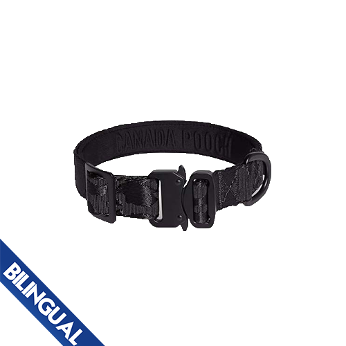 CANADA POOCH UTILITY COLLAR BLACK