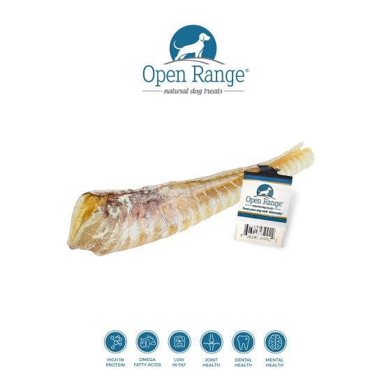 OPEN RANGE BEEF TRACHEA DOG 12IN