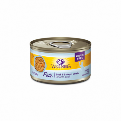 WELLNESS COMPLETE HEALT PÂTÉ BEEF & SALMON ENTRÉE WET CAT FOOD 24 X 3 OZ