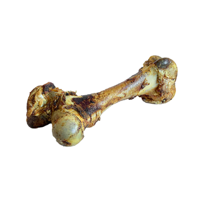 OPEN RANGE CURED BEEF DINO BONE (5 CT) DOG TREAT